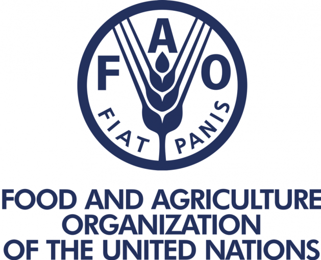 Fao logo navy