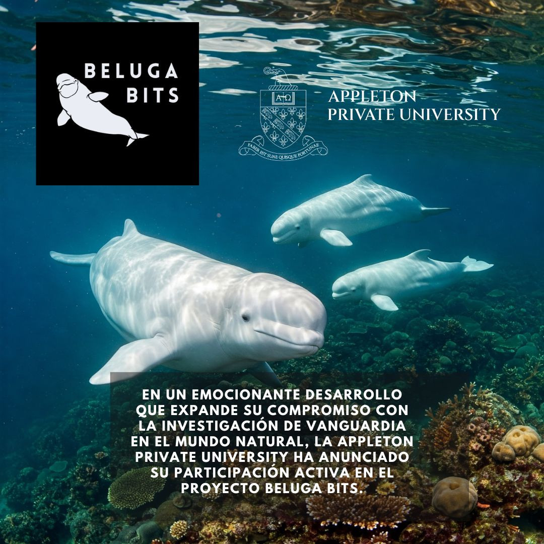 BELUGA BITS