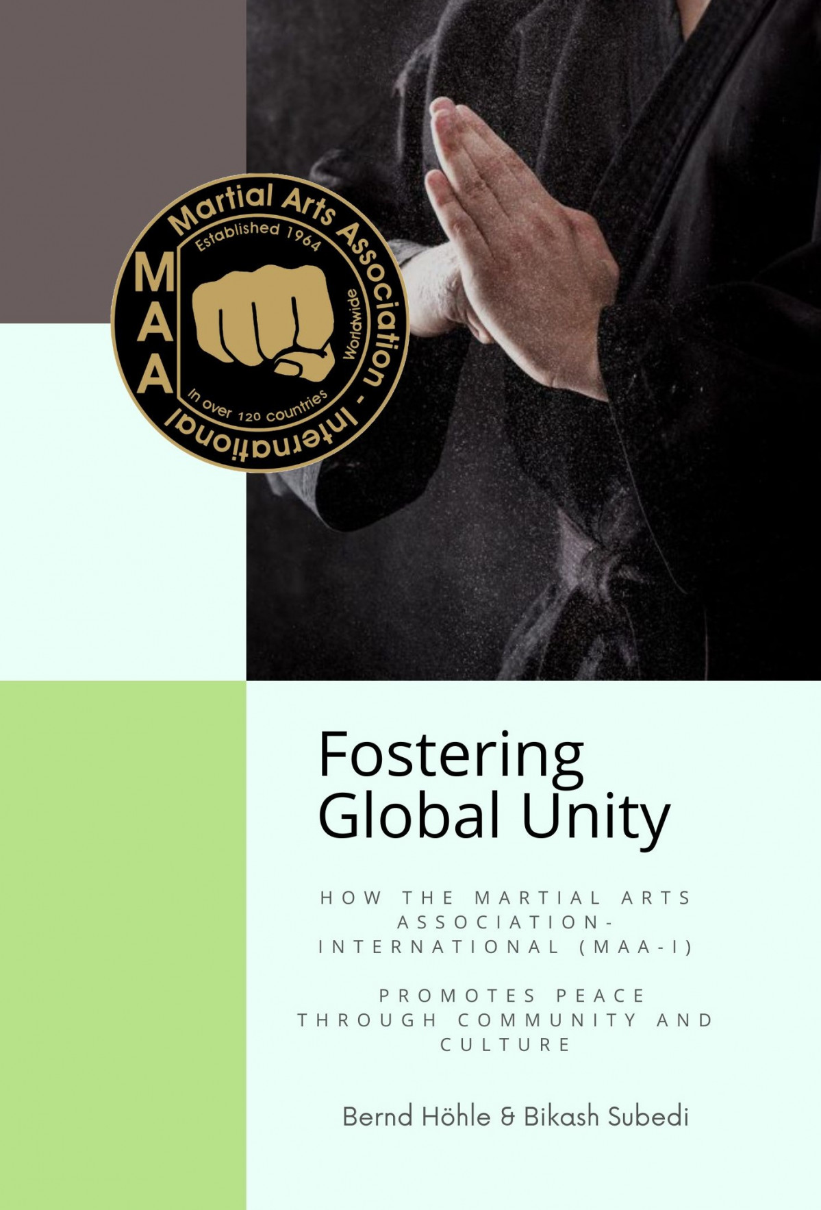 PORTADA (17)