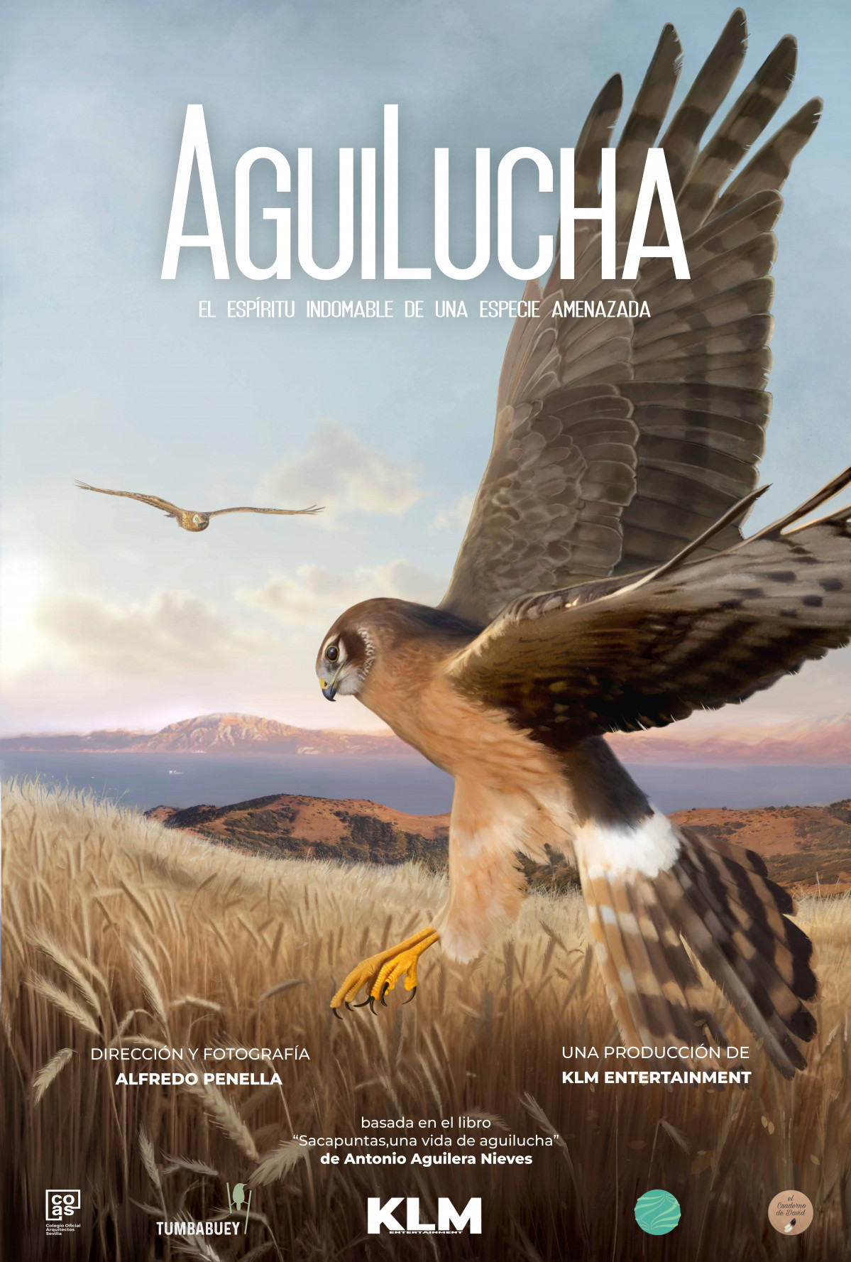 131 poster AguiLucha
